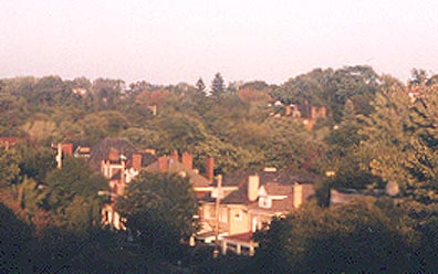 Grand old houses nestled among leafy trees.