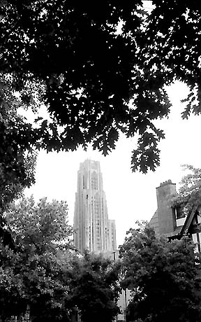 View of the Cathedral of Learning